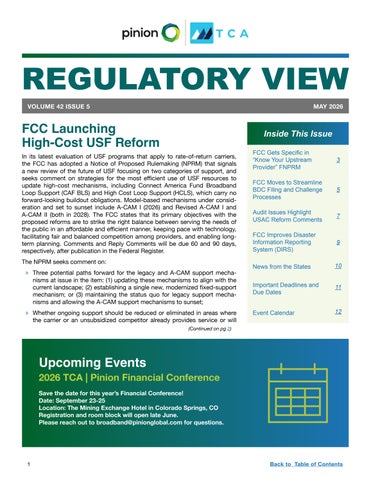 Pinion TCA RV Newsletter Template