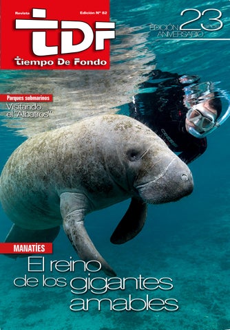 REVISTA TIEMPO DE FONDO N°82