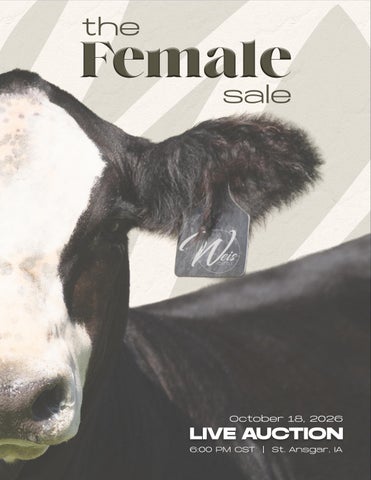 Weis Cattle The Female Sale | 2026