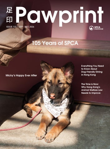SPCA Pawprint Issue 127 : Sep - Dec 2026