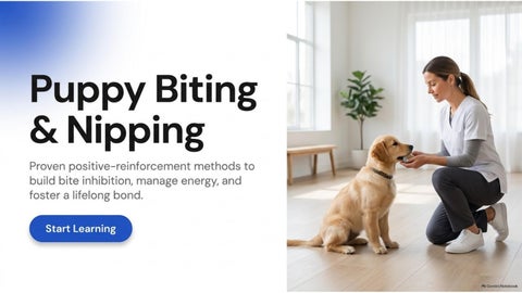 Stop Puppy Biting With Proven Training Techniques