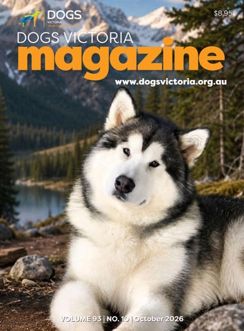 DV OCTOBER Magazine & Gazette 2026