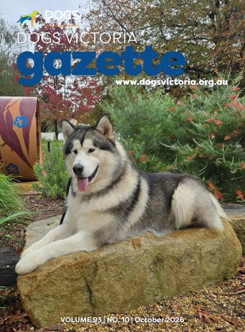 DV OCTOBER Gazette 2026
