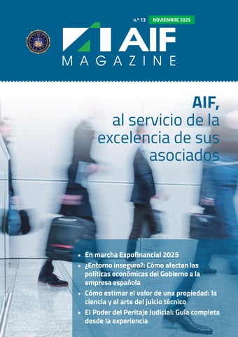 AIF Nº13