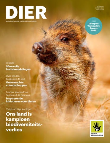 DIER 3 2026  - Inspirerende initiatieven voor dieren