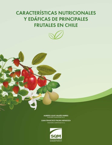 Libro Edafico