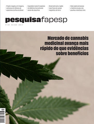Mercado de cannabis medicinal avança mais rápido do que evidências sobre benefícios