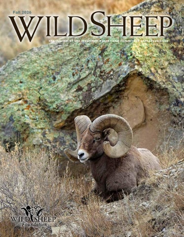 WILD SHEEP Magazine Fall 2026