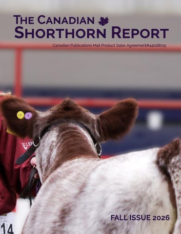 CanadianShorthornReportFall2026