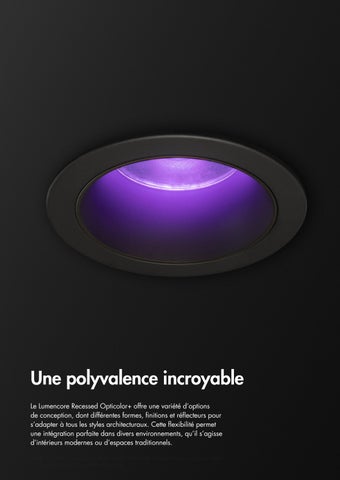 lumenpulse 灯饰目录 · EMEA - Lumencore Point Source 法文 第 17 页