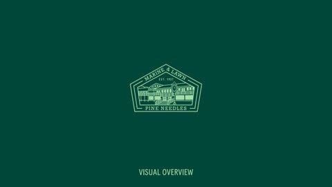 MLPineNeedlesVisualOverview