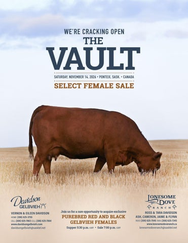 Davidson Lonesome Dove Ranch Nov 14 2026 Female Sale