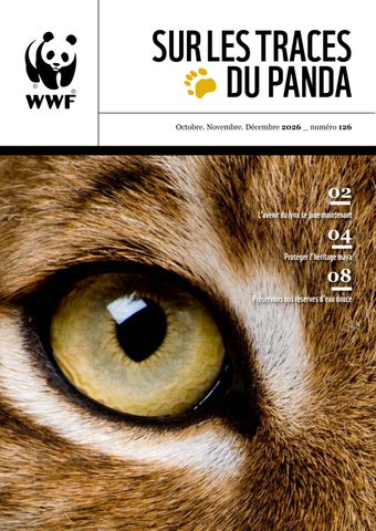 Sur les traces du Panda n°126-2026