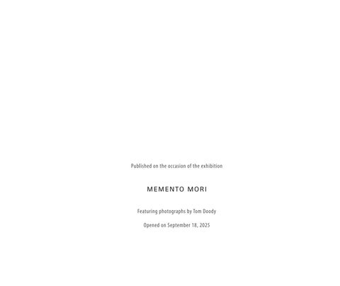 Tom Doody : Memento Mori 第 3 页