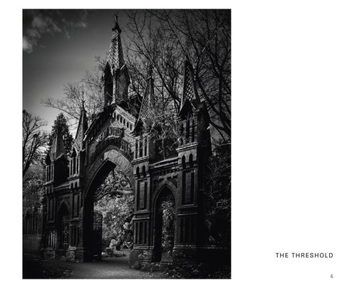 Tom Doody : Memento Mori 第 7 页