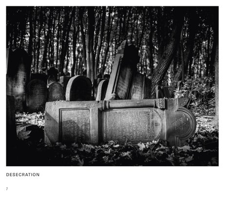 Tom Doody : Memento Mori 第 8 页