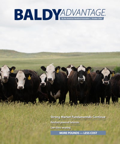October 2026 Baldy Advantage