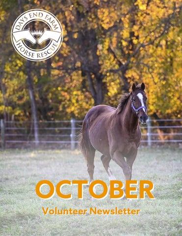 Days End Farm Horse Rescue October Newsletter 2026