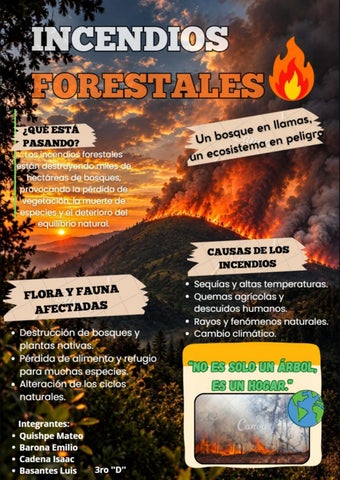 Incendios Forestales