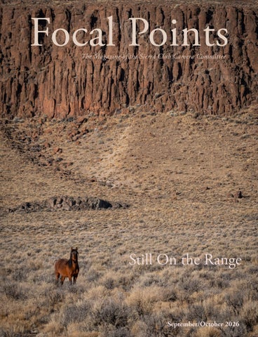 Focal Points Sept/Oct 2026