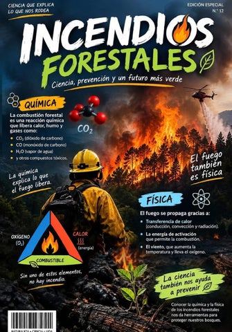 Texto del párrafo (7)
