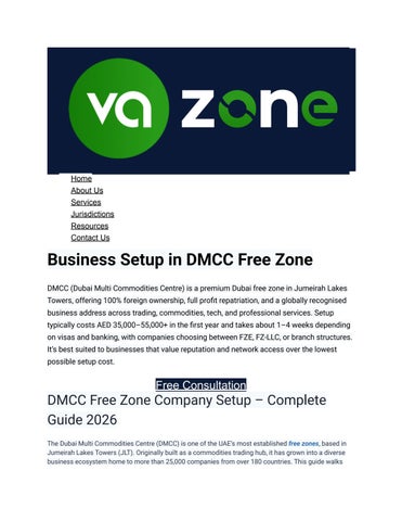 Business Setup in DMCC Free Zone