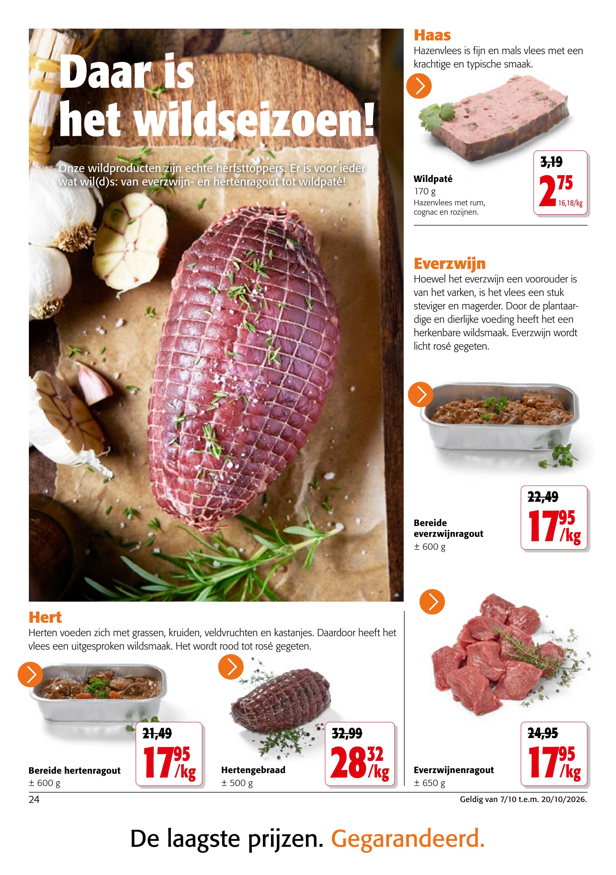 Pagina 24