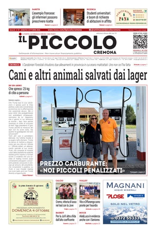 il Piccolo 37 del 03-10-2026