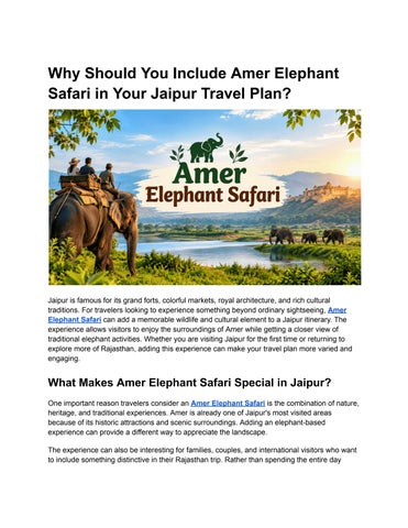 Amer Elephant Safari