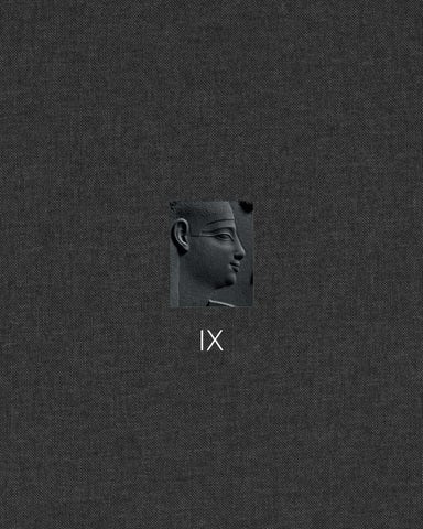 IX David Aaron_High Res