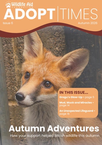 Adopt Times Issue 6