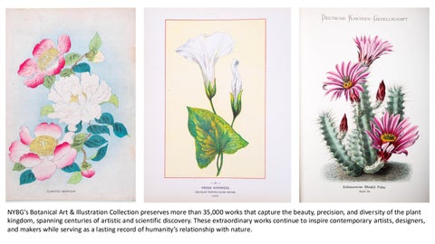 NYBG Collaborations | BLE 2026 第 13 页