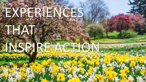 NYBG Collaborations | BLE 2026 第 15 页