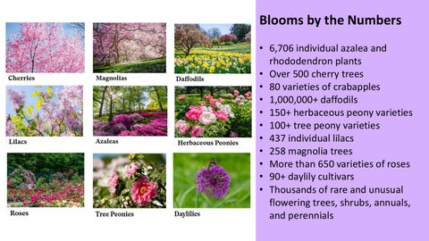 NYBG Collaborations | BLE 2026 第 18 页