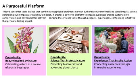 NYBG Collaborations | BLE 2026 第 7 页