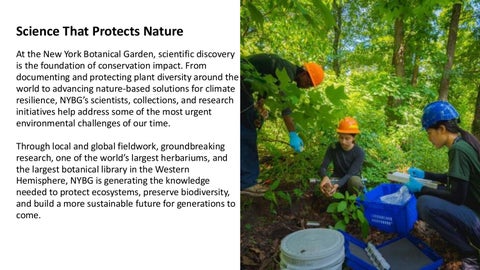 NYBG Collaborations | BLE 2026 第 9 页
