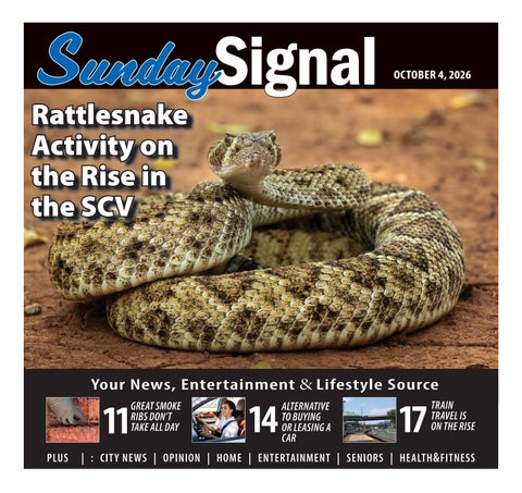 SundaySignal_100426