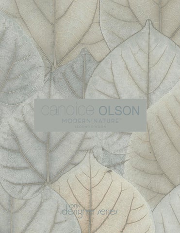 Candice Olson Wallcoverings | 现代 Nature II 第 1 页