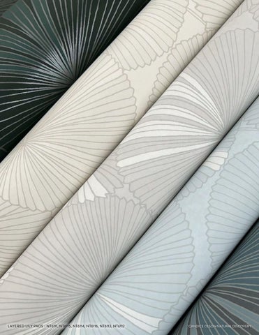 Candice Olson Wallcoverings | Natural-Discovery 第 14 页