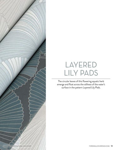 Candice Olson Wallcoverings | Natural-Discovery 第 15 页