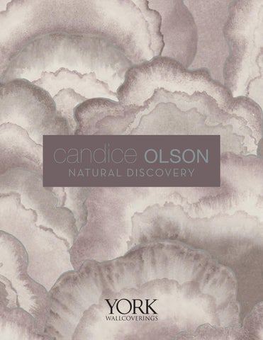 Candice Olson Wallcoverings | Natural-Discovery 第 1 页