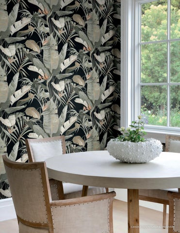Candice Olson Wallcoverings | Natural-Discovery 第 24 页
