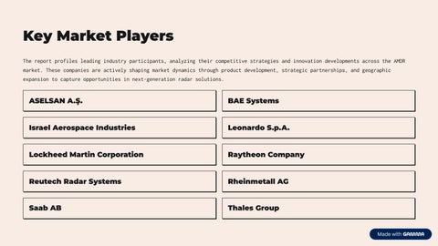 Air-and-Missile-Defense-Radar-AMDR-Market 第 8 页