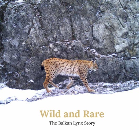 Wild and Rare