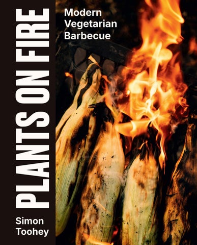 Plants on Fire by Simon Toohey - Sample
