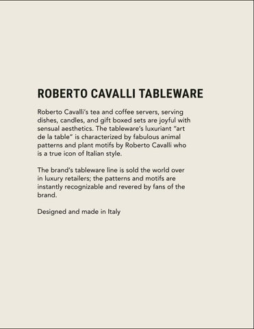 Roberto Cavalli 第 3 页