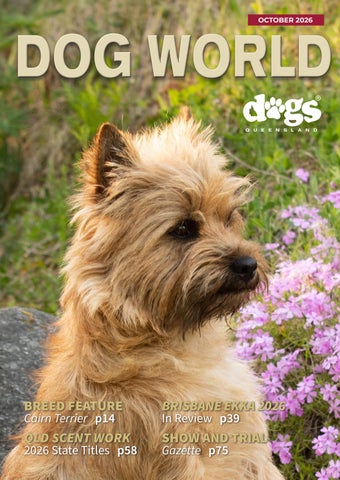 DW Mag October 2026 V2
