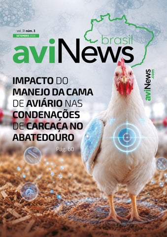 aviNews Brasil 3º Trimestre 2026