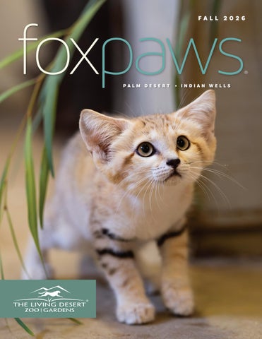 Fall FoxPaws 2026