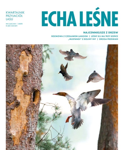 Echa Leśne 3/2021